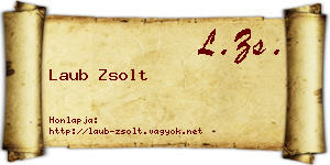 Laub Zsolt névjegykártya